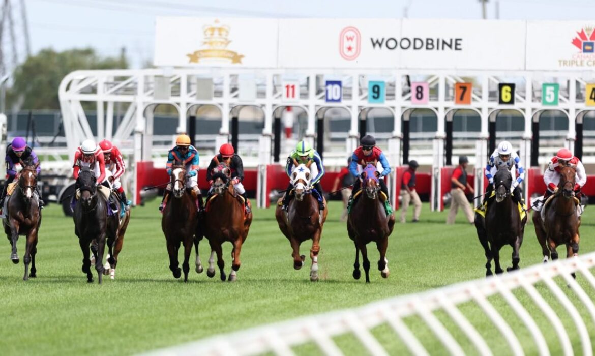 Thoroughbred stakes horse racing at Woodbine