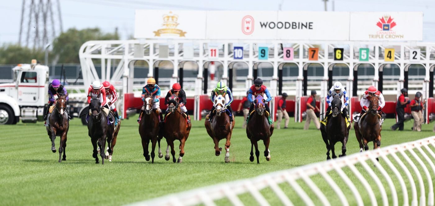 Thoroughbred stakes horse racing at Woodbine