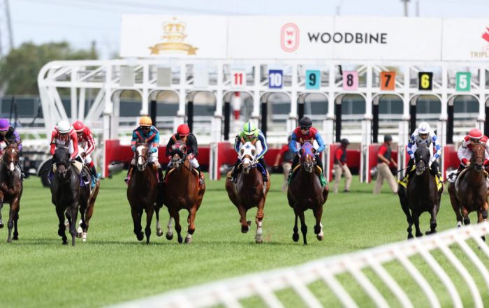 Thoroughbred stakes horse racing at Woodbine