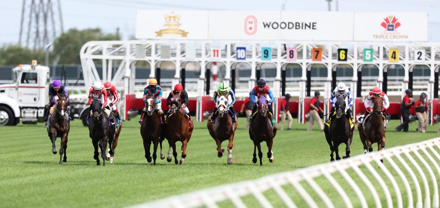 News image for Betting Woodbine: What to Watch & How to Bet this Friday