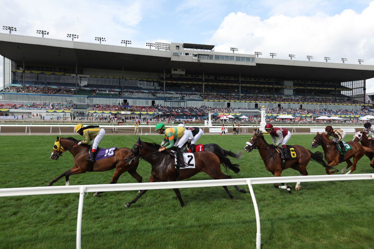 News image for The Biggest Horse Racing Events of the Year