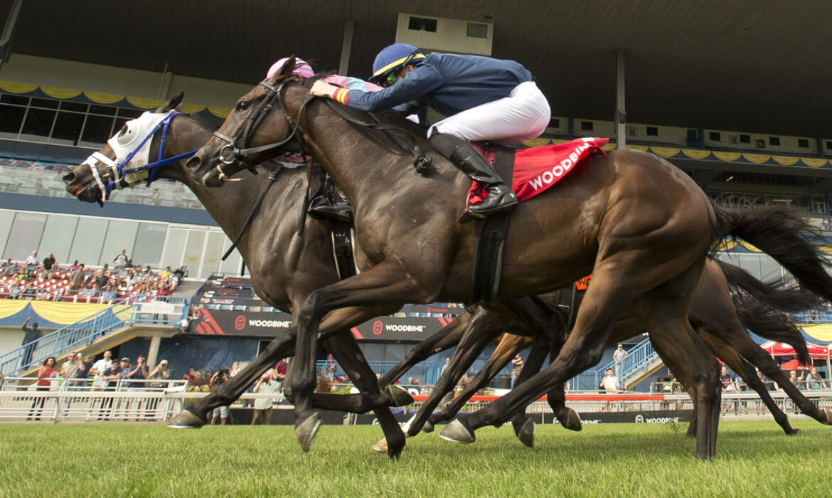 Woodbine Racing photo