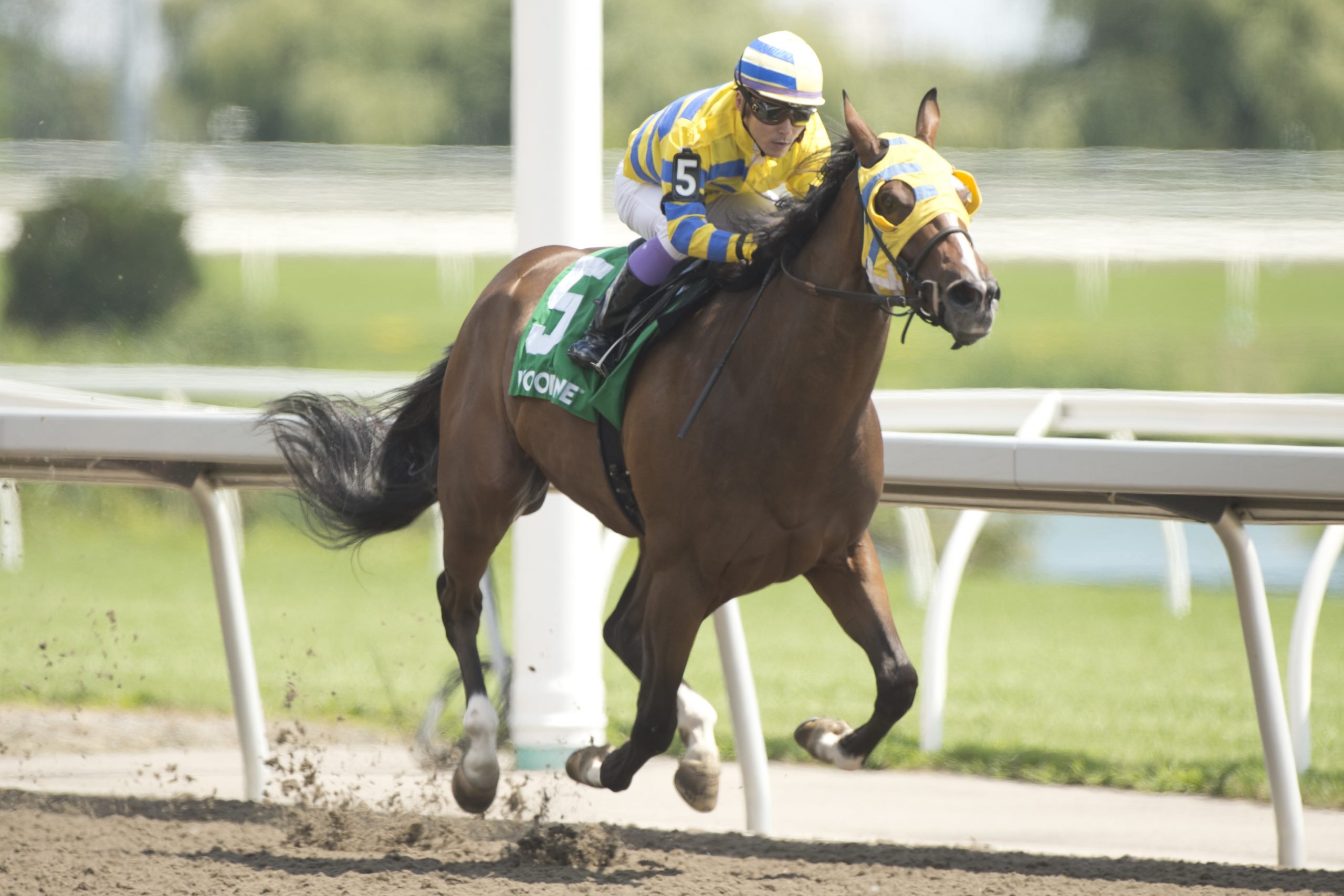 The Glen Cove Stakes runs Thursday at Belmont at The Big A in New York.