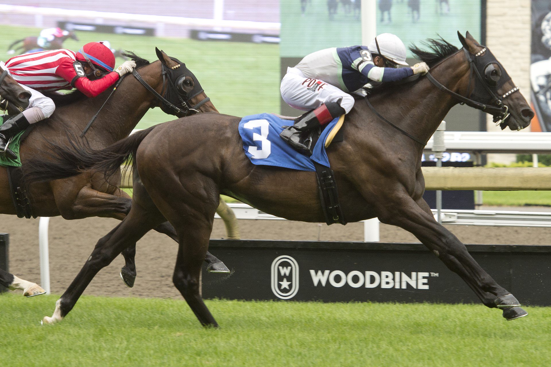 News image for Nine Things You Need to Know About the 2023 Ricoh Woodbine Mile