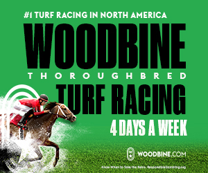 Turf racing at woodbine racetrack. Four days a week.