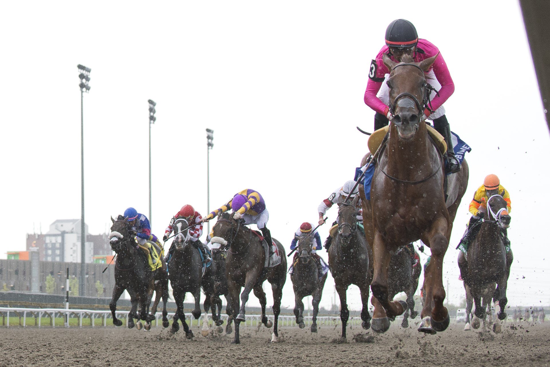 News image for Betting Belmont: Your quick guide to betting on Sunday