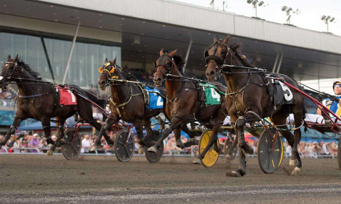 Racing-at-Woodbine-Mohawk-Park