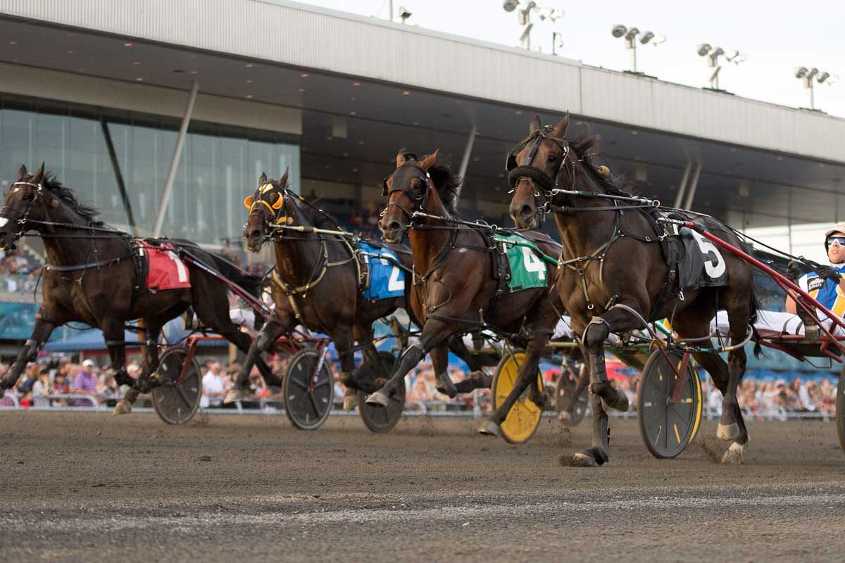 Racing-at-Woodbine-Mohawk-Park