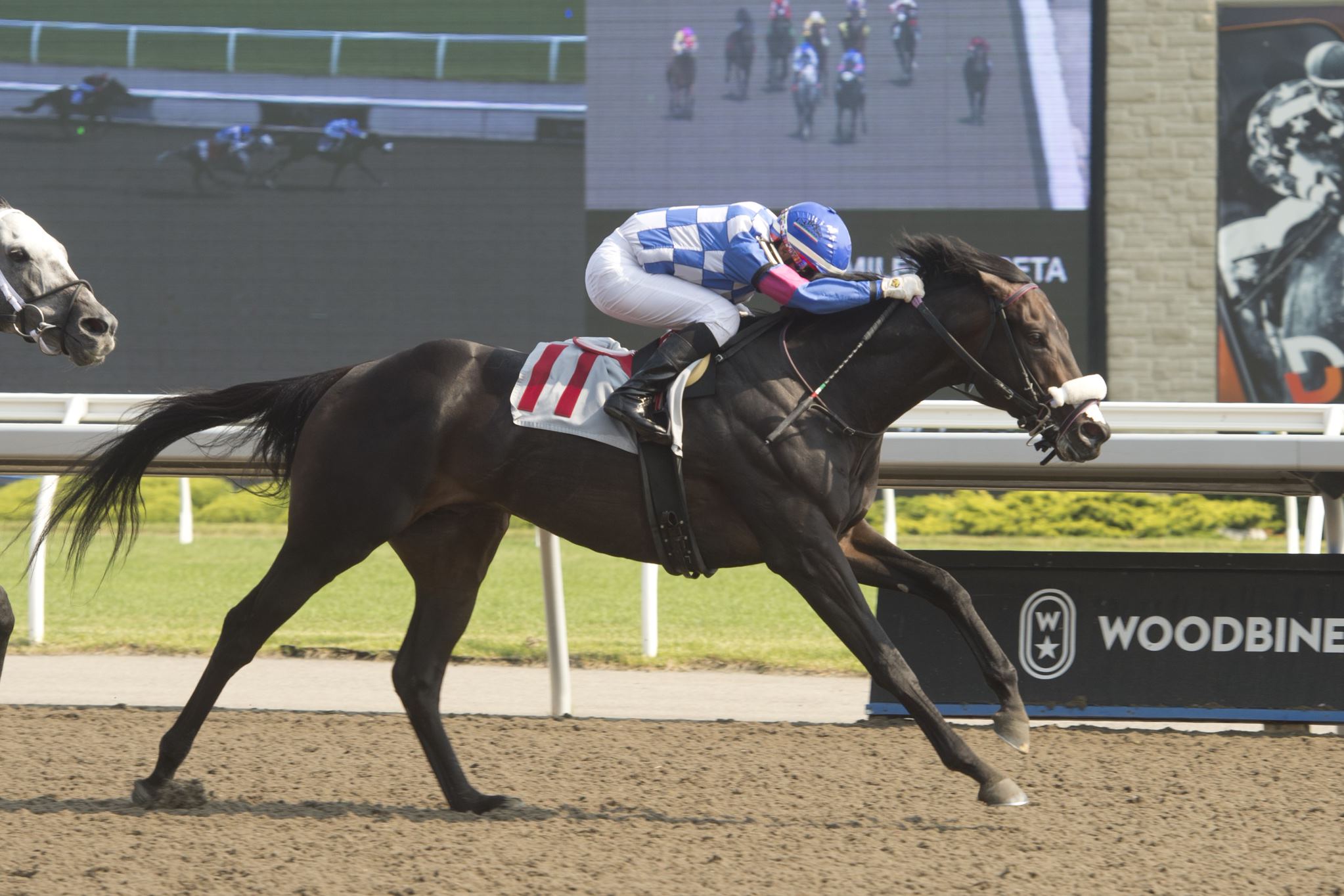 Horse racing at Woodbine and Keeneland headline a busy thoroughbred racing schedule with plenty of betting implications