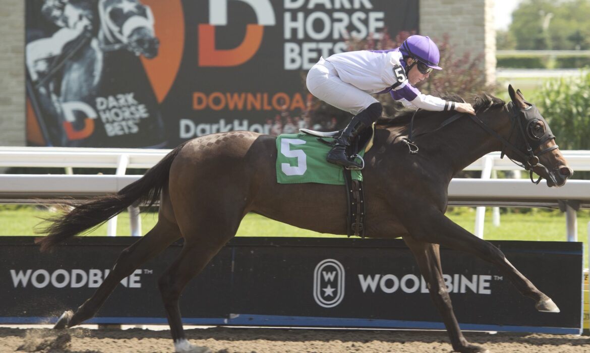 horse racing at Woodbine in Toronto