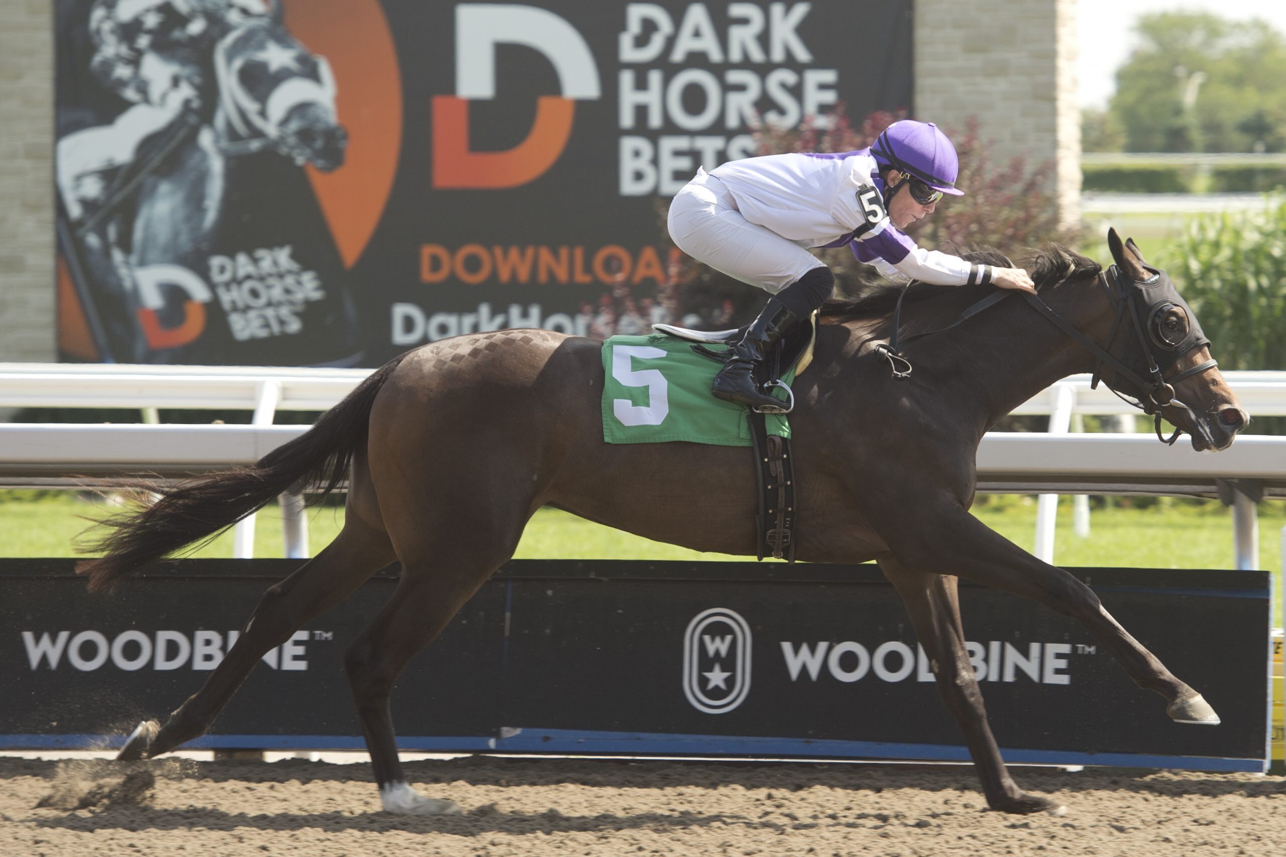 horse racing at Woodbine in Toronto