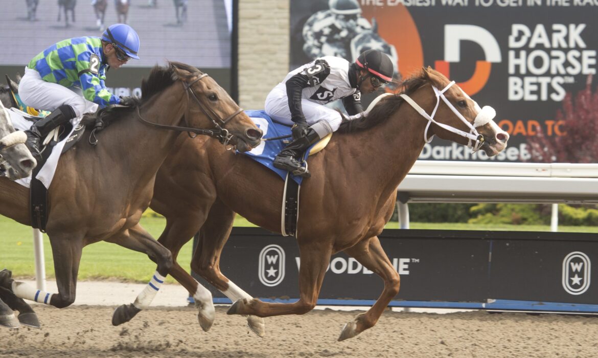 woodbine and other tracks have exciting horse racing to go along with the Breeders' Cup