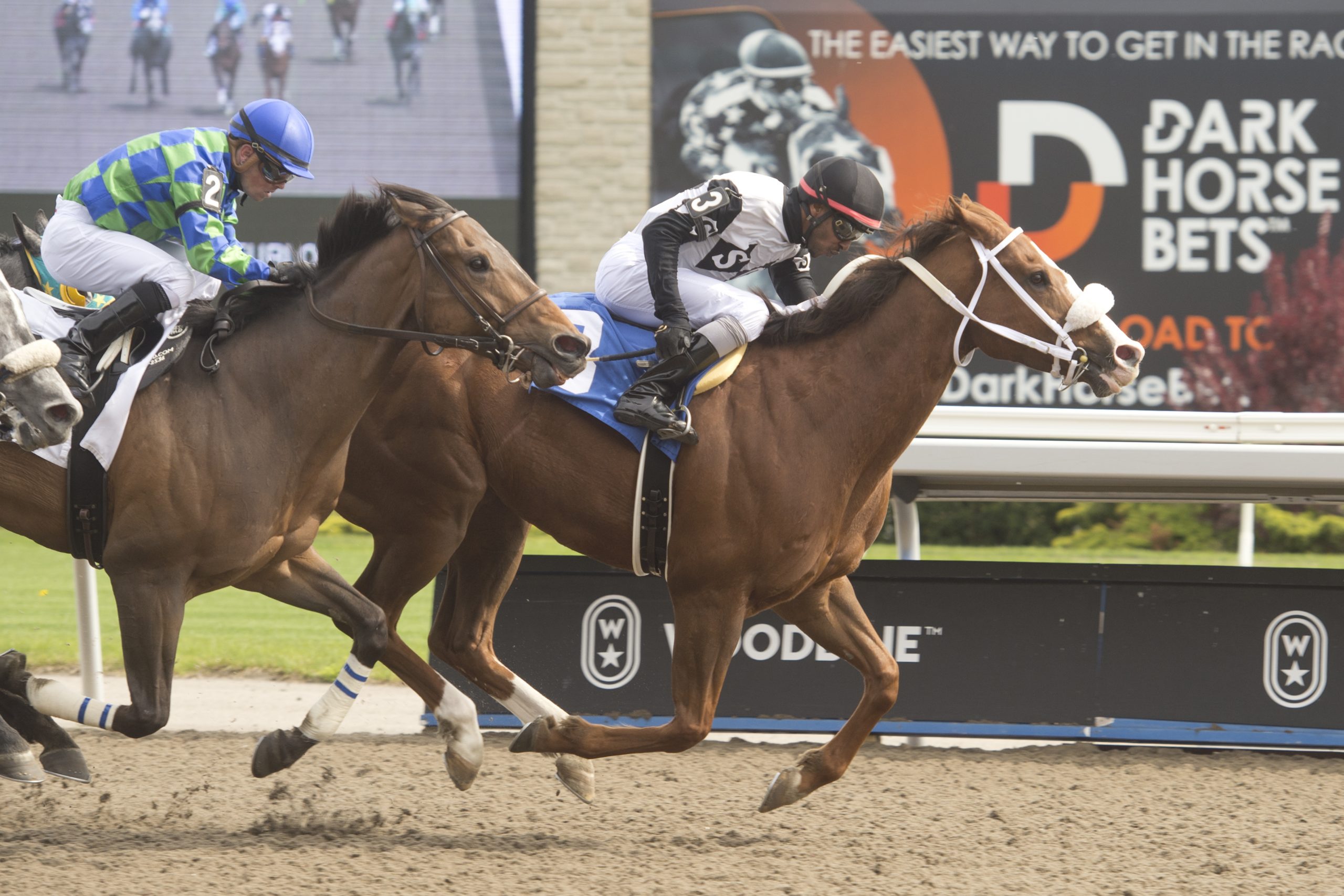 woodbine and other tracks have exciting horse racing to go along with the Breeders' Cup
