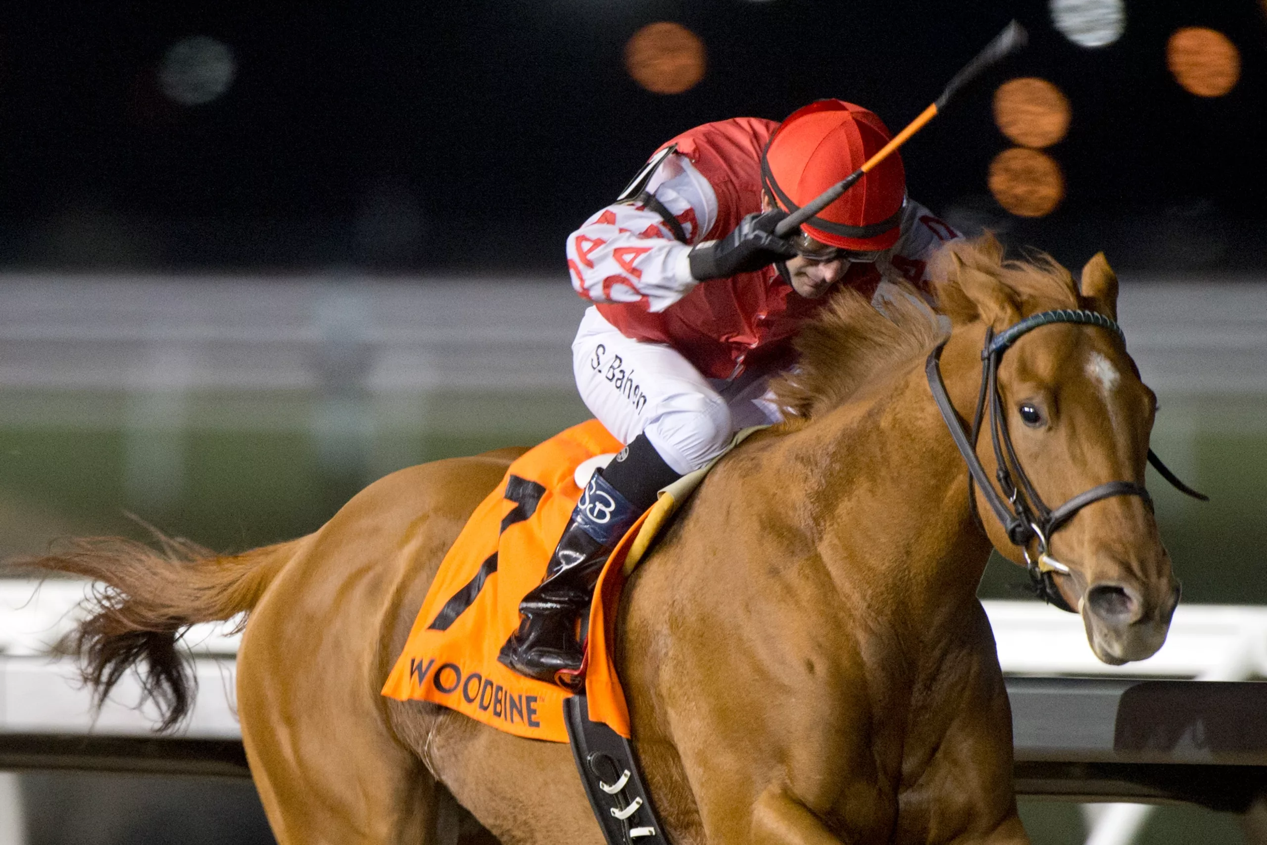 News image for Woodbine Turf Sprint Series back after cancellation