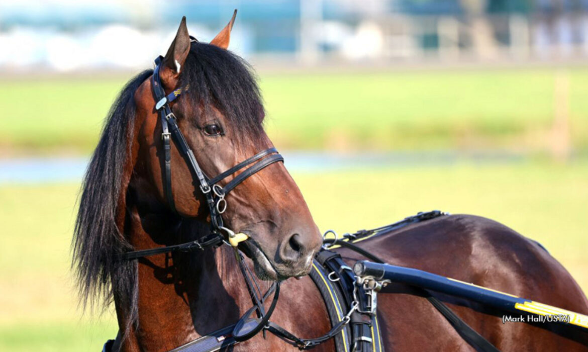 breeders' cup qualifying races