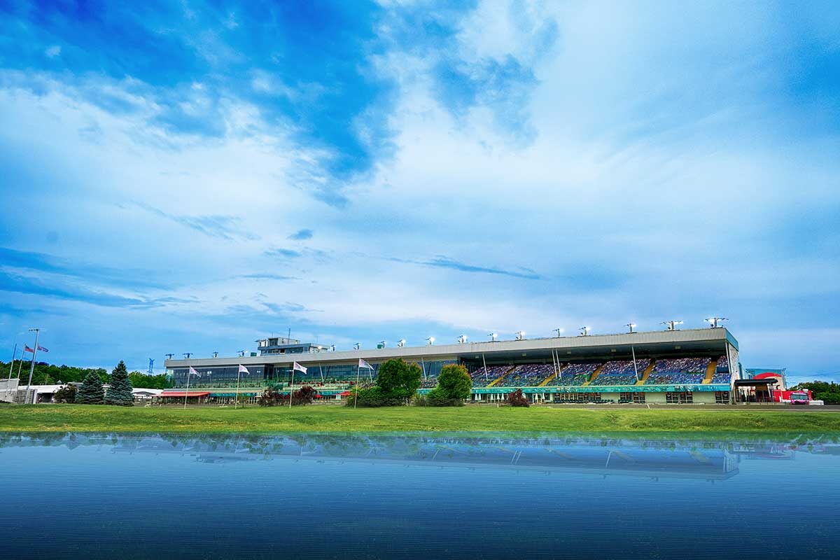 Woodbine Mohawk Park Racetrack for standardbred horse racing.