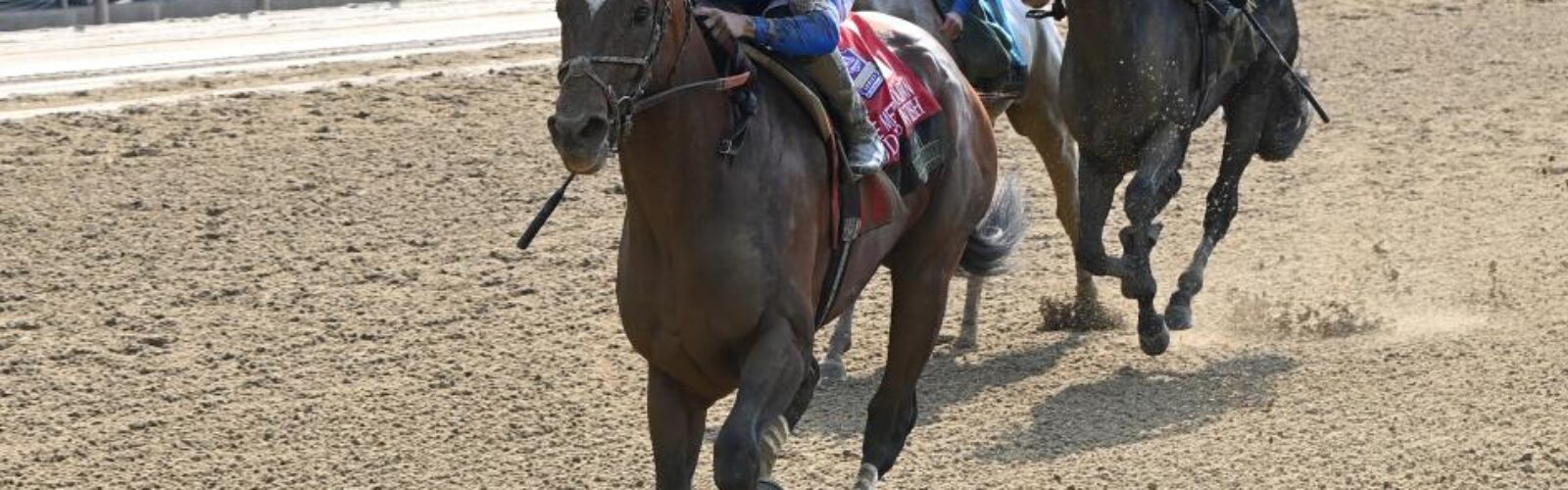 Horse racing at NYRA