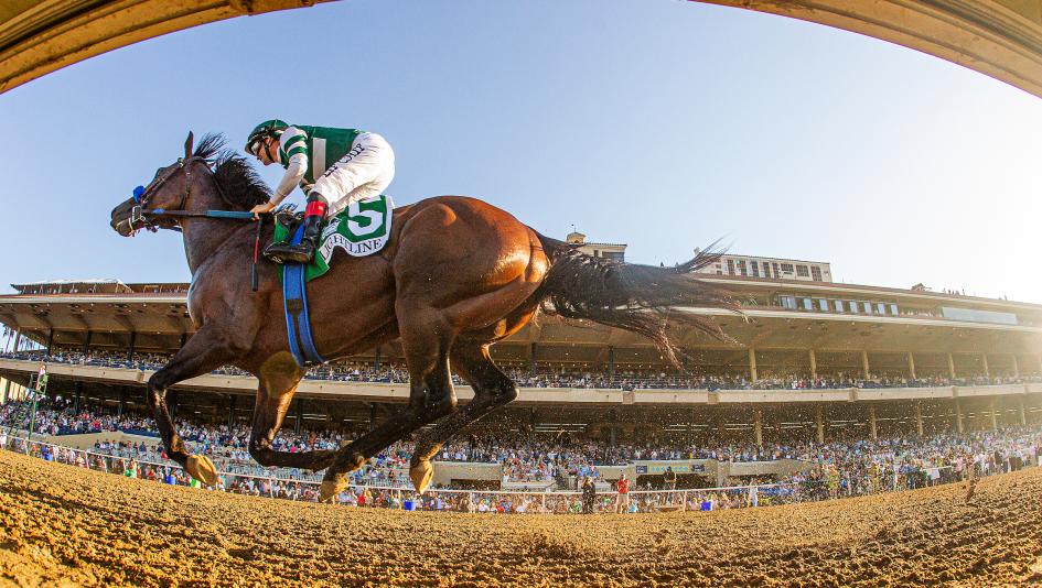 News image for Road to the Breeders’ Cup: Sneak Peek at Pacific Classic and Other Holiday Weekend Races