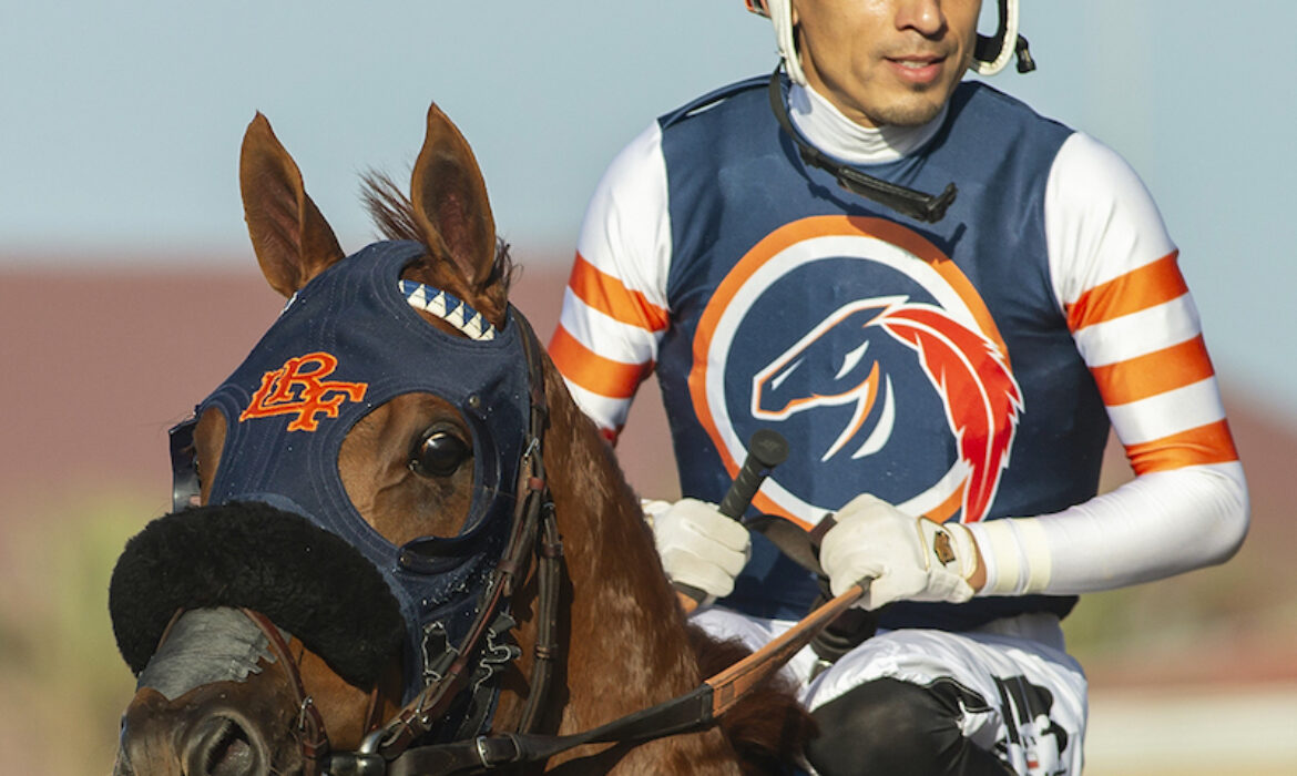 Gold Phoenix as he gets ready to race in the American Stakes at Santa Anita