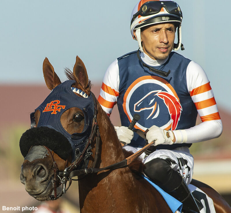 Gold Phoenix as he gets ready to race in the American Stakes at Santa Anita