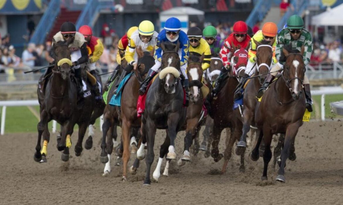 queens_plate_2021_field_burns