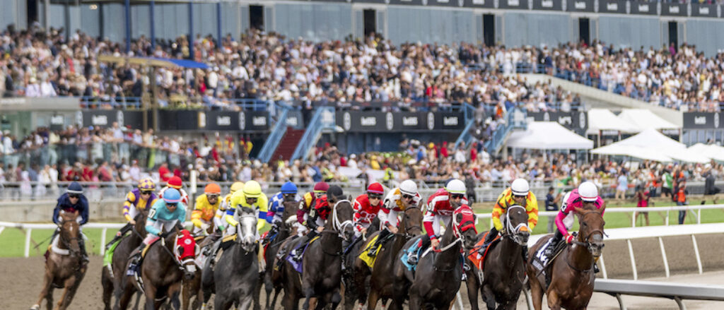 horse racing at Woodbine race track in Toronto