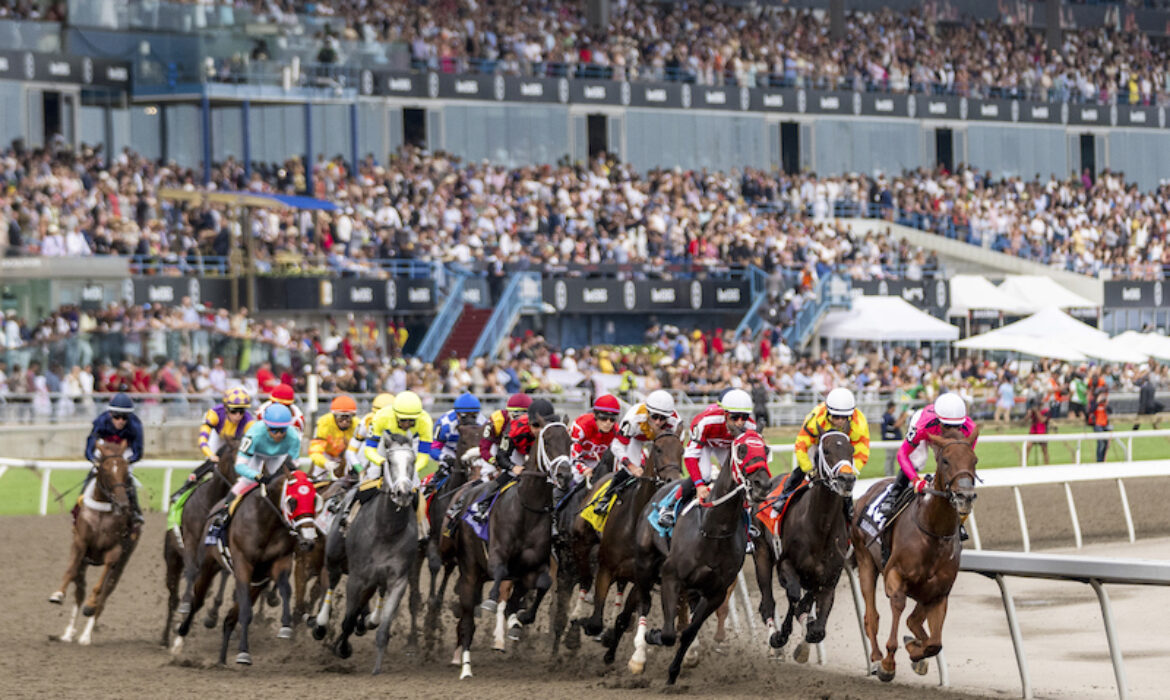 horse racing at Woodbine race track in Toronto