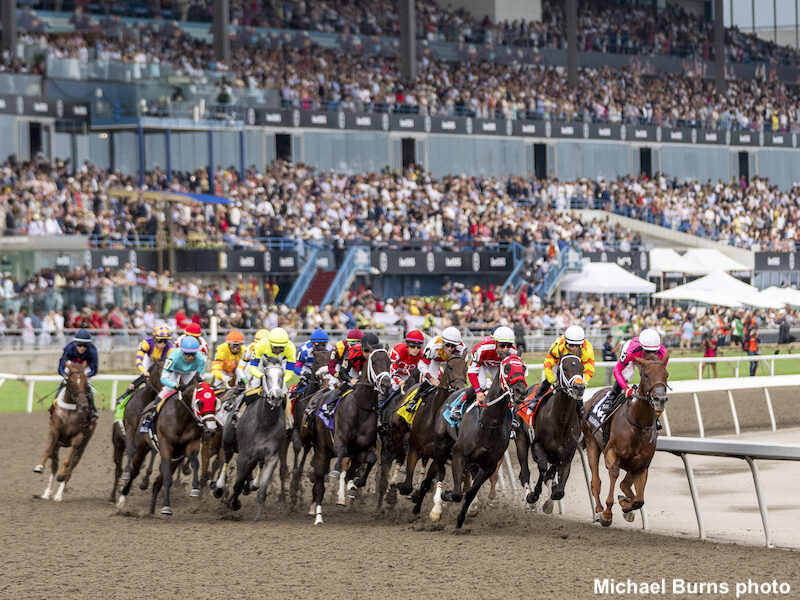 horse racing at Woodbine race track in Toronto