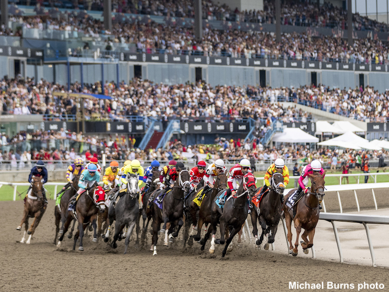 News image for What’s On Track- Woodbine, Aqueduct, & Churchill Downs Highlight Horse Racing Stakes Action This Weekend