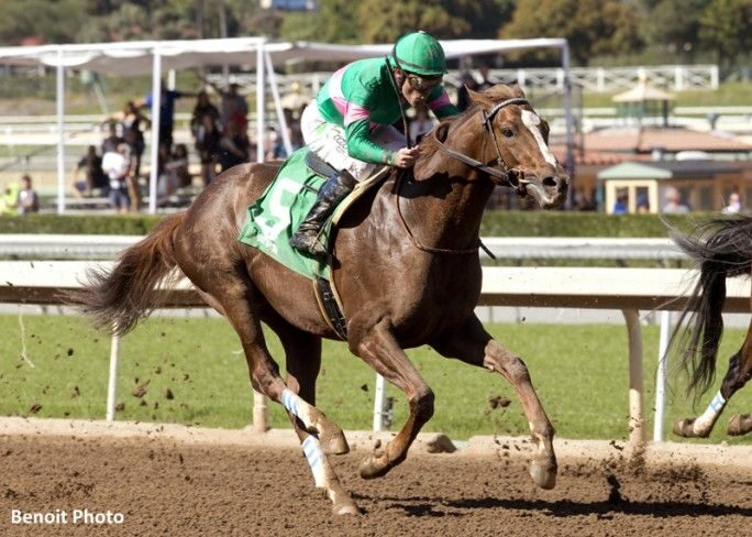 American champion race horse Zenyatta