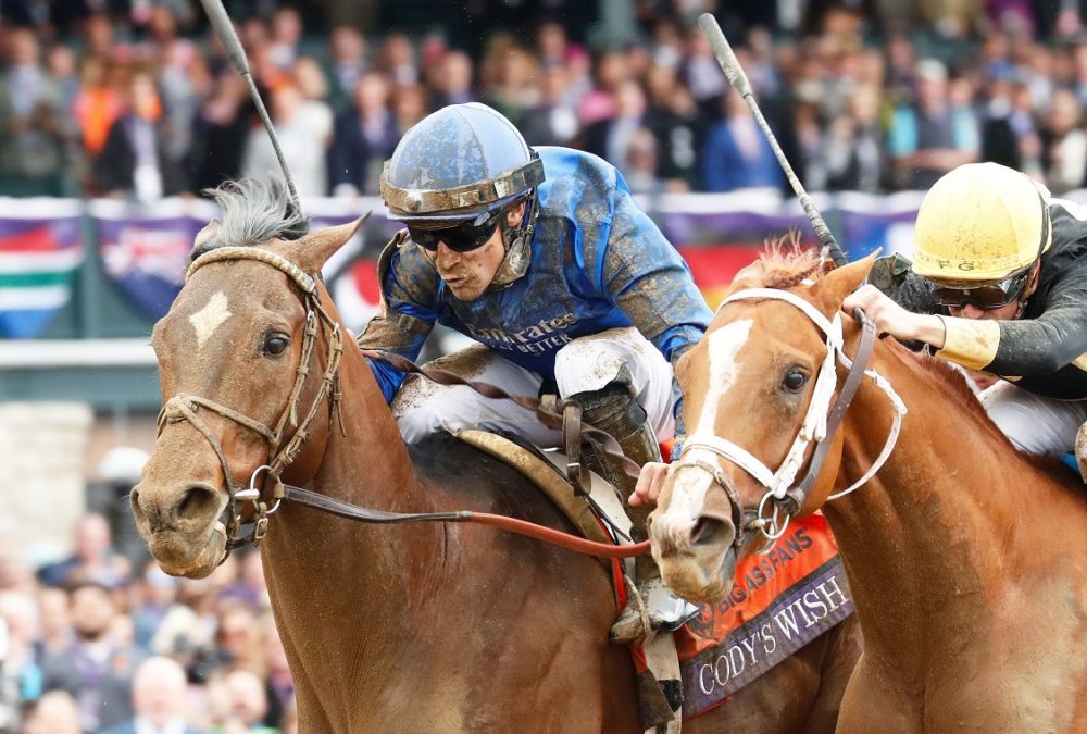 Belmont stakes horse racing