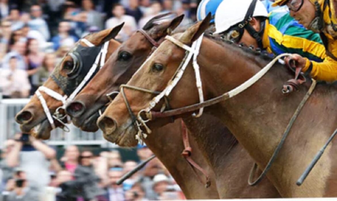 thoroughbred horse racing at Keeneland in Kentucky