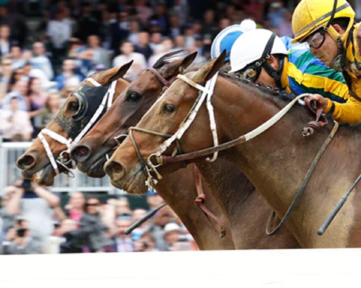 thoroughbred horse racing at Keeneland in Kentucky