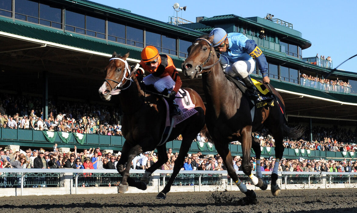 Thoroughbred horse racing at Keeneland in Kentucky