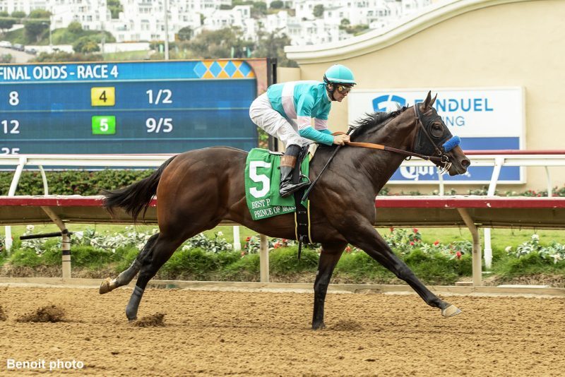 Prince of Monaco getting ready to compete in the Breeders' Cup.