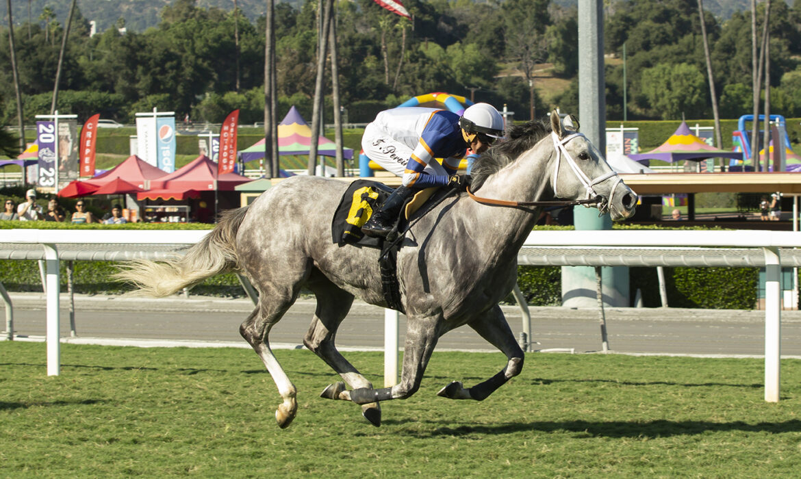 Rose Maddox at Santa Anita on a busy weekend of horse racing and betting across North America