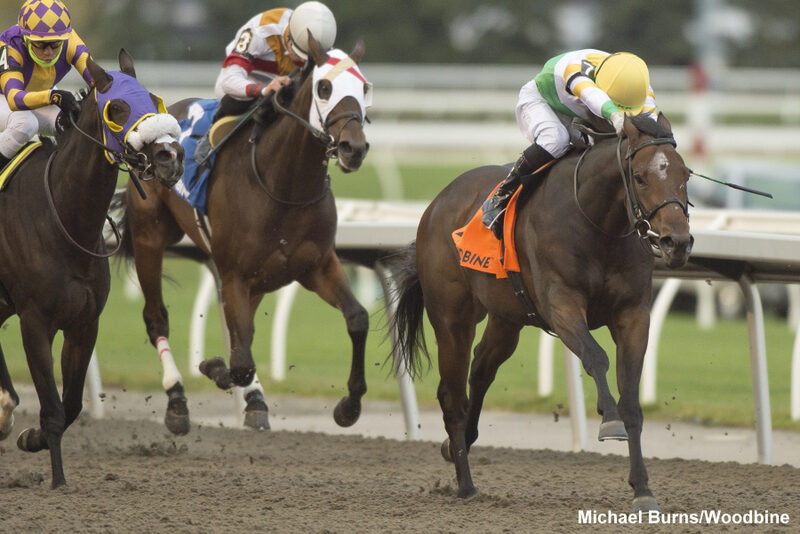 TouchnRide wins Ontario Derby at Woodbine