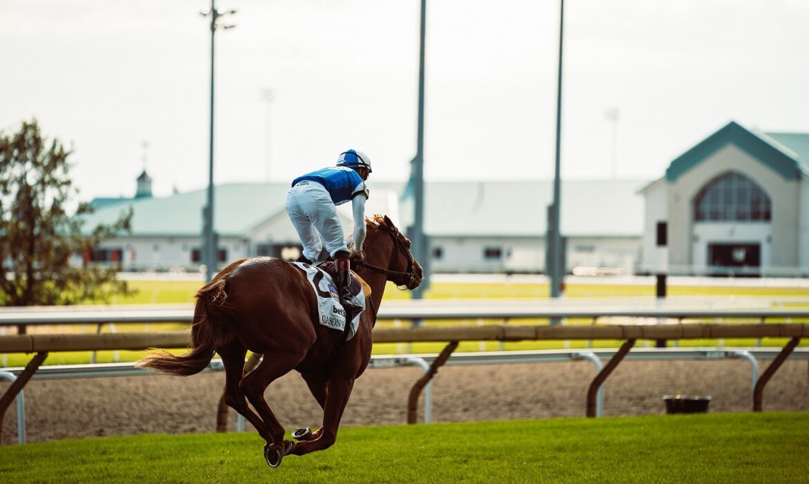 Horse racing stakes races at Woodbine, Keeneland, Belmont and more