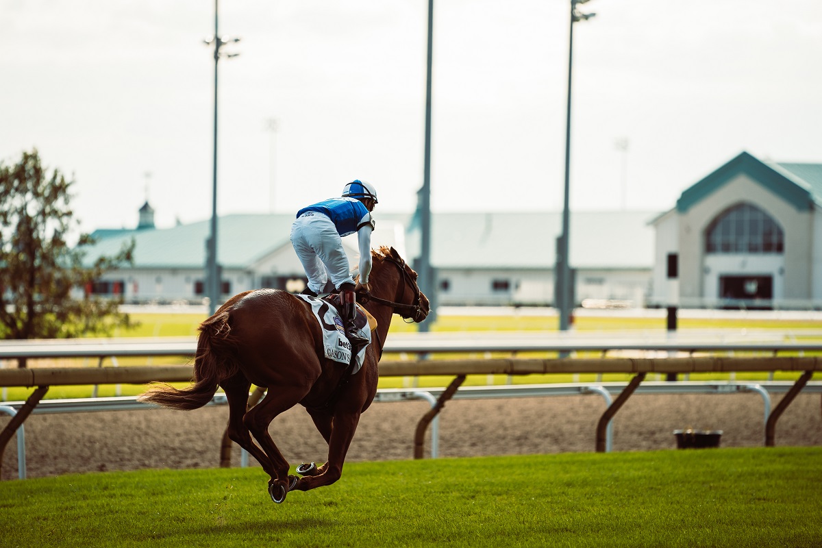 Horse racing stakes races at Woodbine, Keeneland, Belmont and more