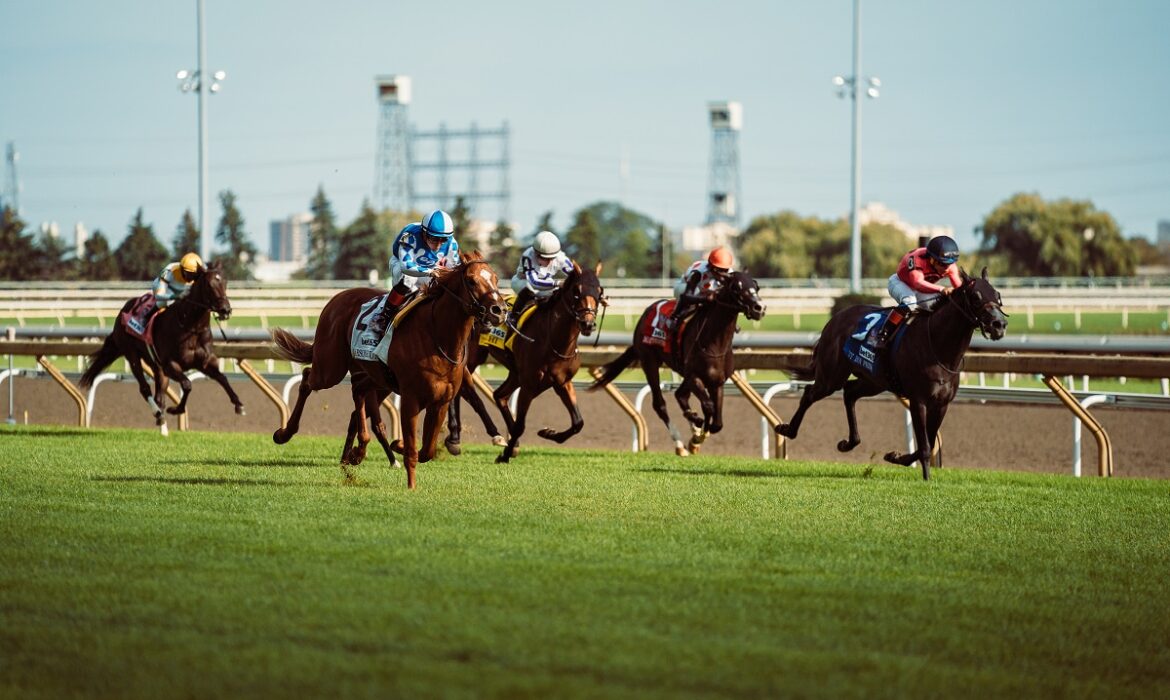 Horse racing at Woodbine in Toronto