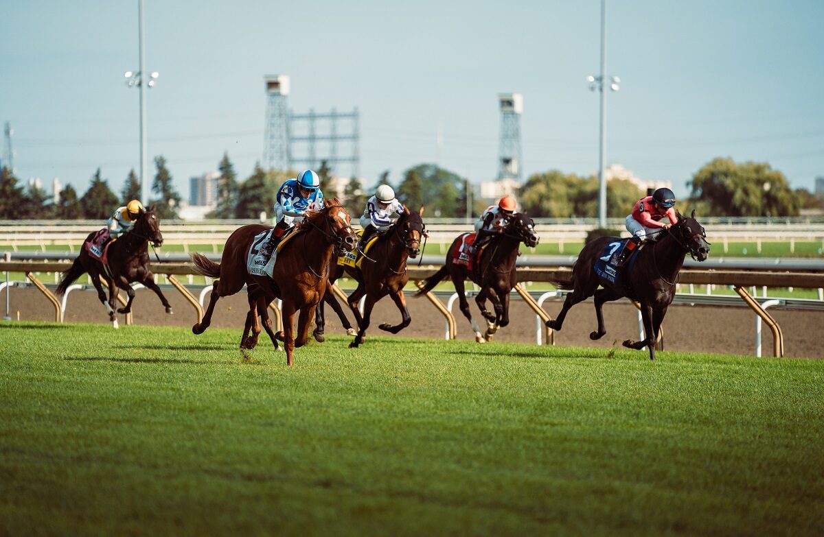 Horse racing at Woodbine in Toronto