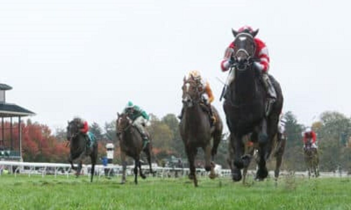 Keeneland thoroughbred horse racing in Kentucky