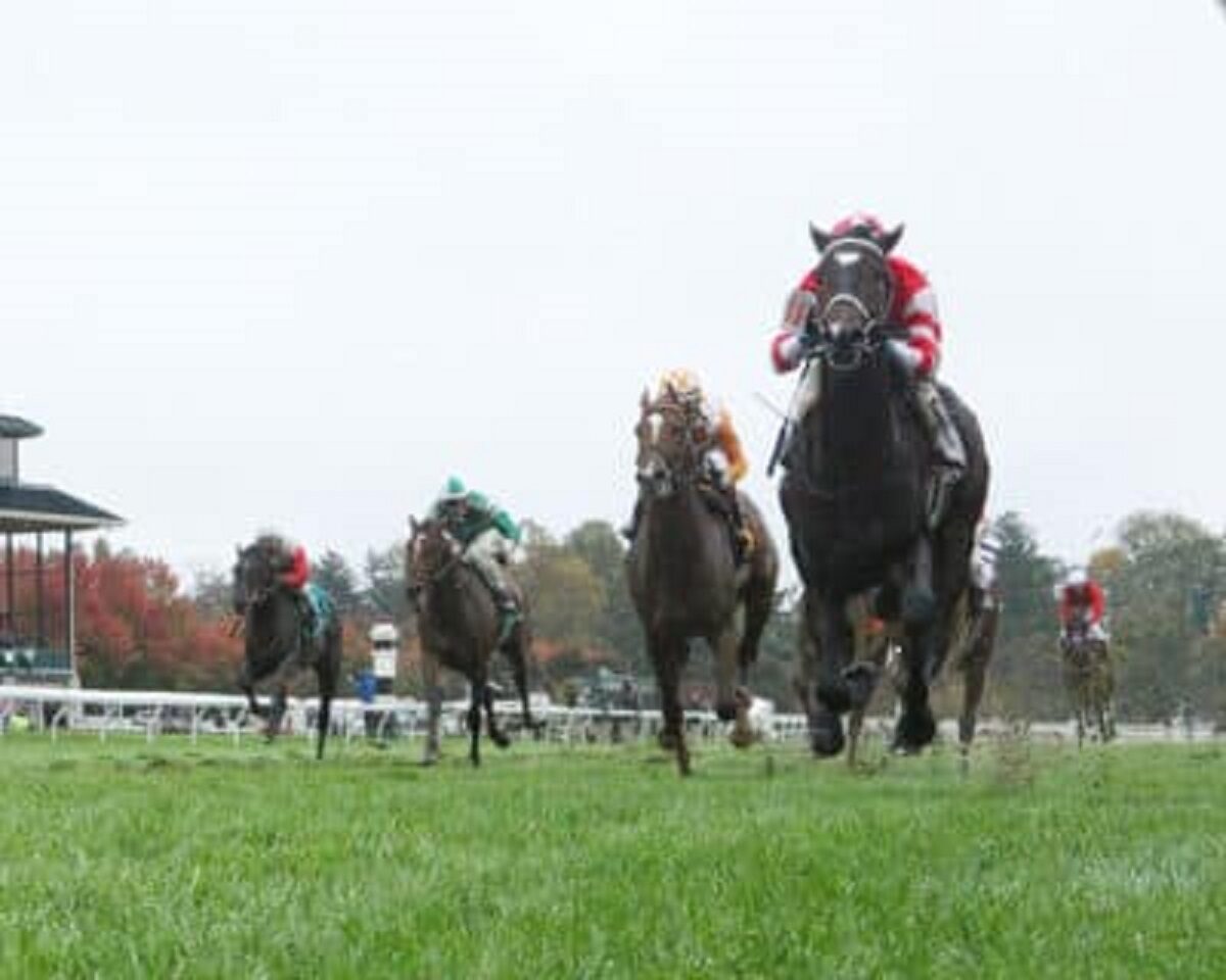 Keeneland thoroughbred horse racing in Kentucky