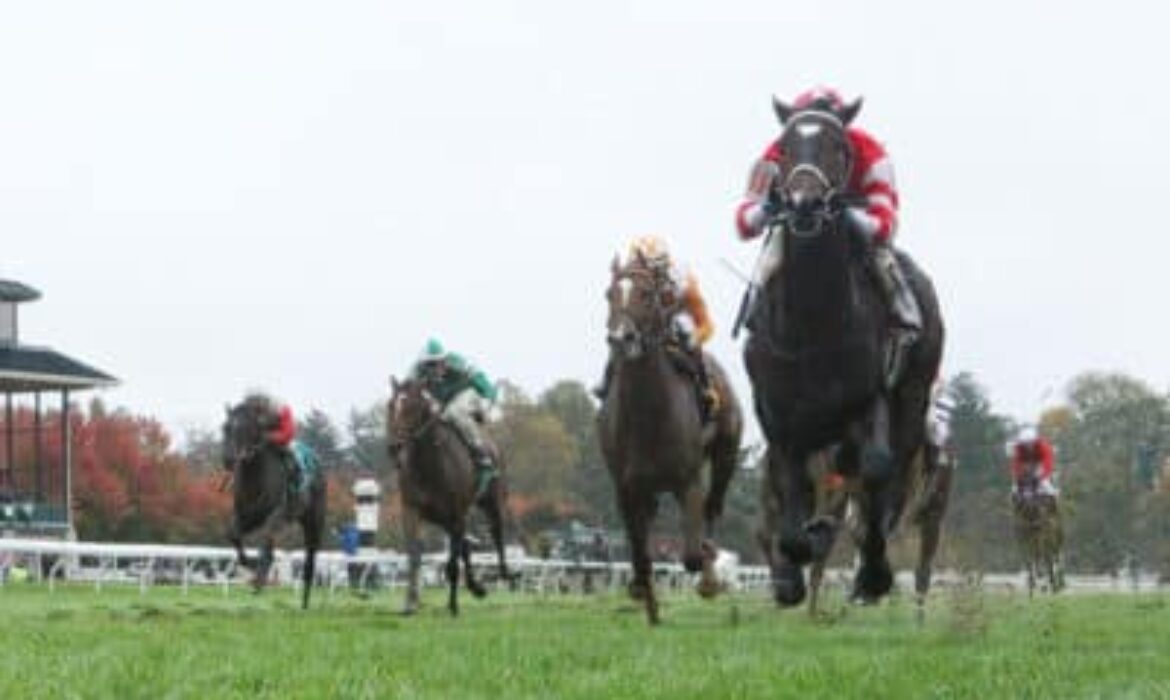 Thoroughbred horse racing at Keeneland in Kentucky