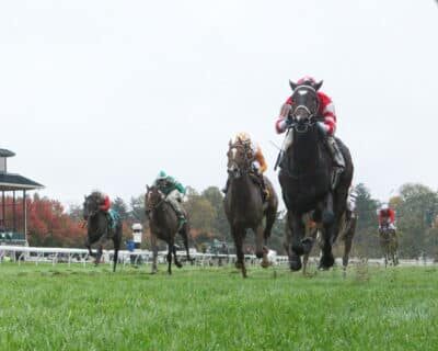 Thoroughbred horse racing at Keeneland in Kentucky