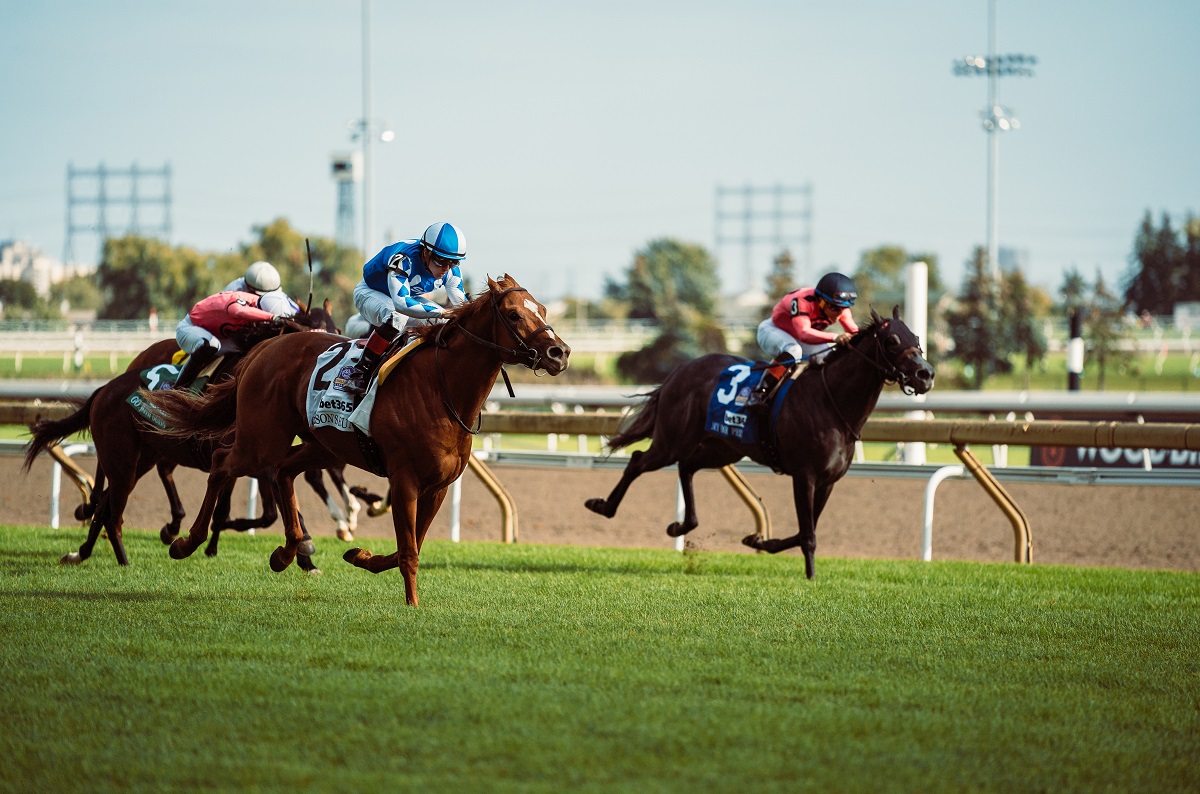 horse racing at keeneland, churchill downs, belmont and woodbine