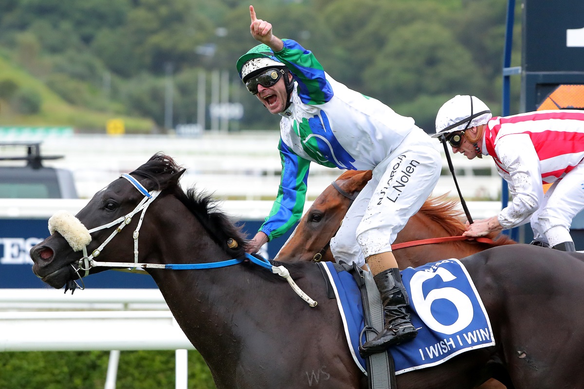 I Wish I Win is one of the horses competing in The Everest $20-million purse in Australia
