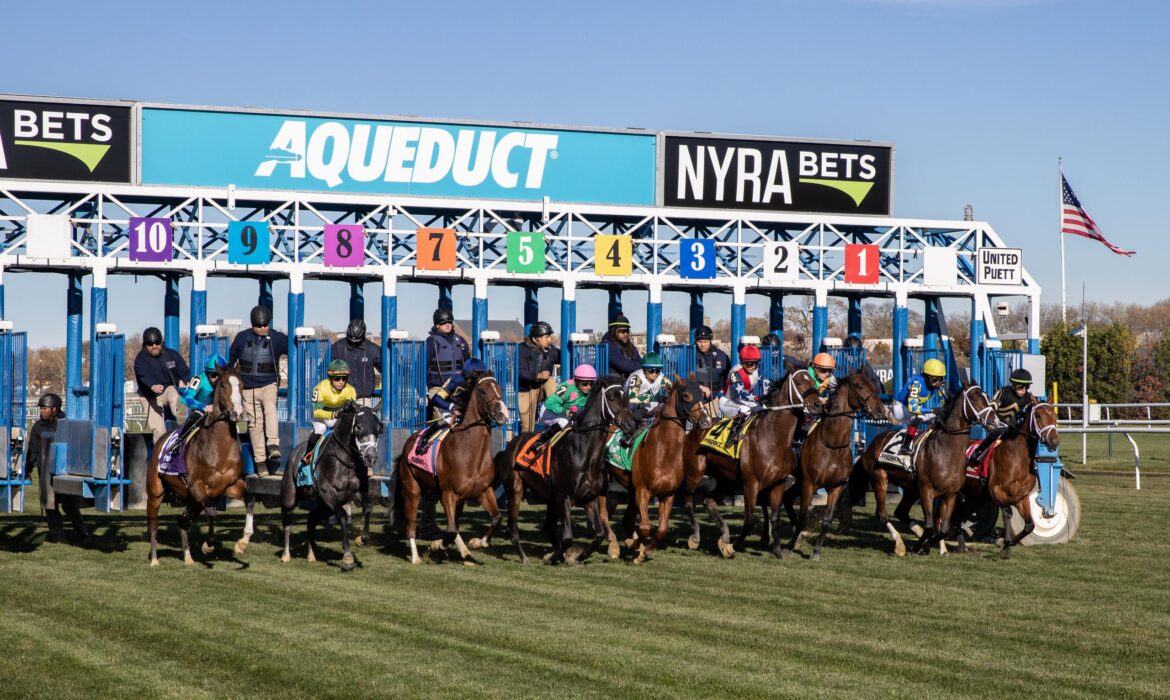 horse racing at Aqueduct race track in Queens, New York.
