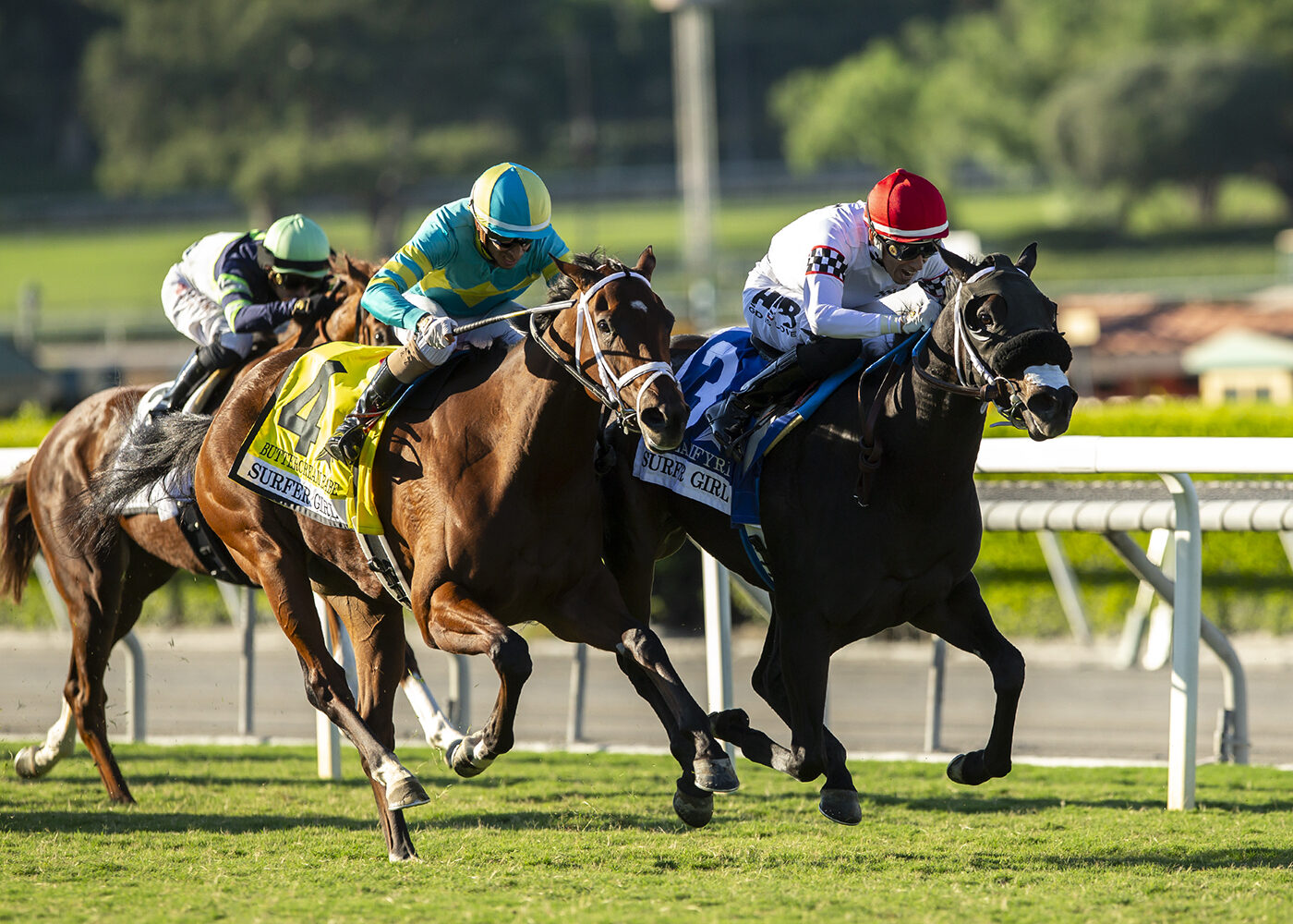 Horse racing at Santa Anita Park