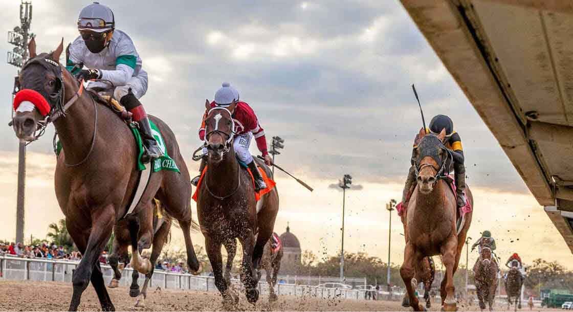 horse racing at the Fair Grounds in New Orleans